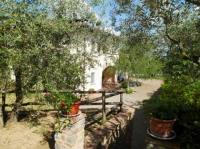 Casa le Betulle Montespertoli
